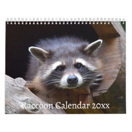 Das Raccoon-Waldtier Kalender