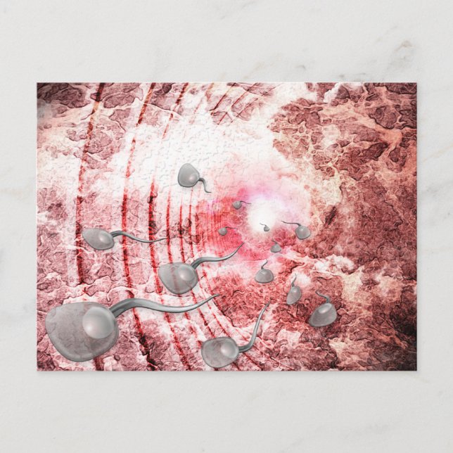 Das Rennen um das Leben Postkarte (Vorderseite)