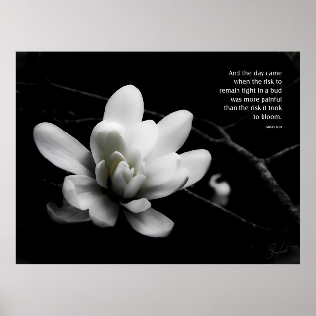 Das Risiko zu blühen Poster (Vorne)