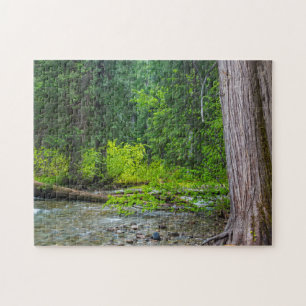 Das Ross Creek Cedars Scenic Area