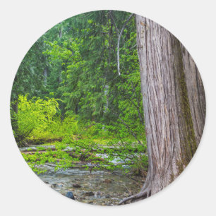 Das Ross Creek Cedars Scenic Area Runder Aufkleber