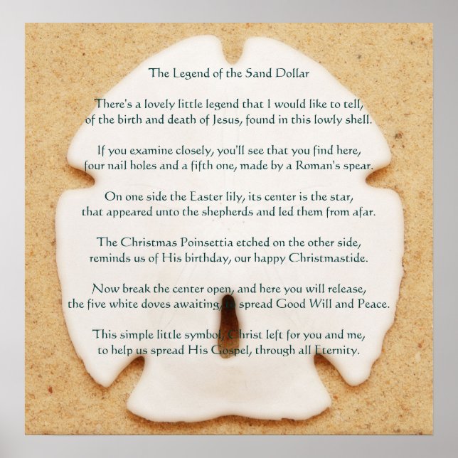 Das Sand-Dollar-Poster Poster (Vorne)