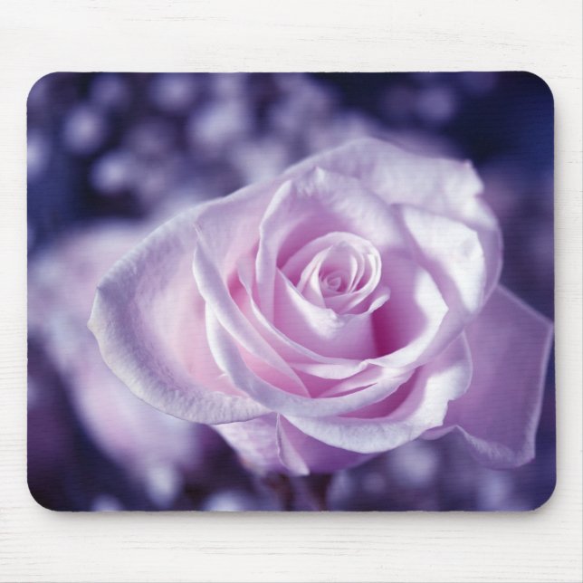 Das sanfte rosa Rosenmousepad Mousepad (Vorne)
