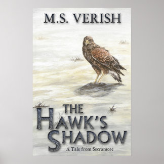 Das Schattenplakat der Hawk Poster