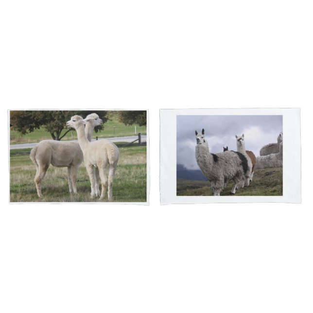 Das Schicksal des benutzerdefinierten Llama-Tieres Kissenbezug (Vorderseite-Set)