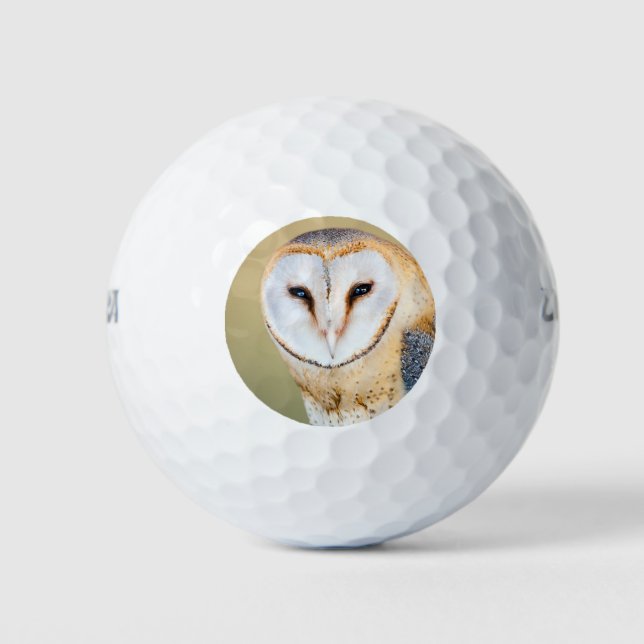 Das Schicksal des Vogeltiergolfers als grünes Ziel Golfball (Vorderseite)