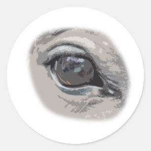 Das schlichte Auge des graues Pferds Runder Aufkleber