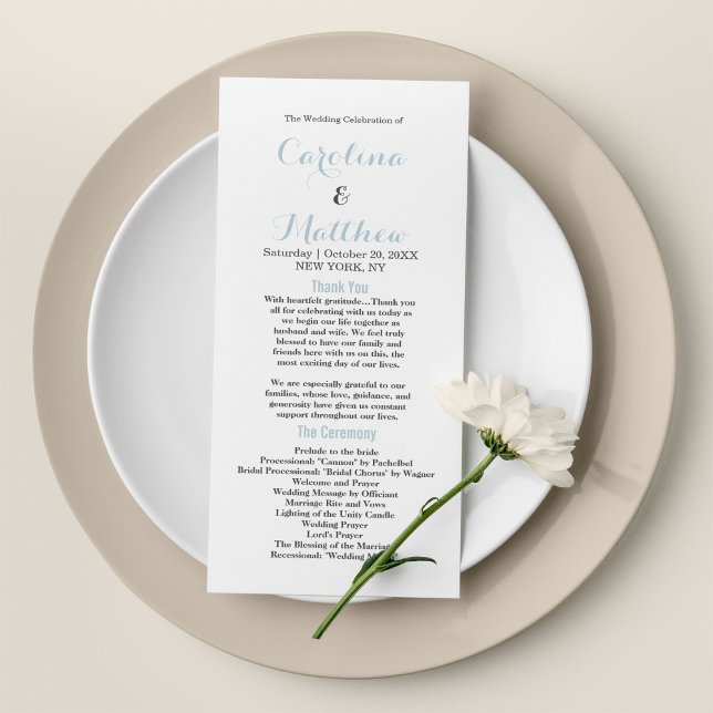 Das schlichte, elegante, pastellblaue, moderne Pro Programm (Simple elegant white pastel blue modern Program)