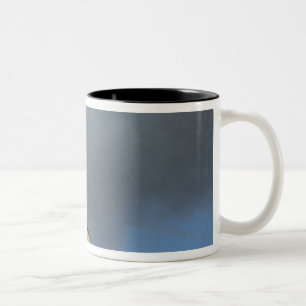 Das Schloss Chinon liegt auf einem Hügel Zweifarbige Tasse