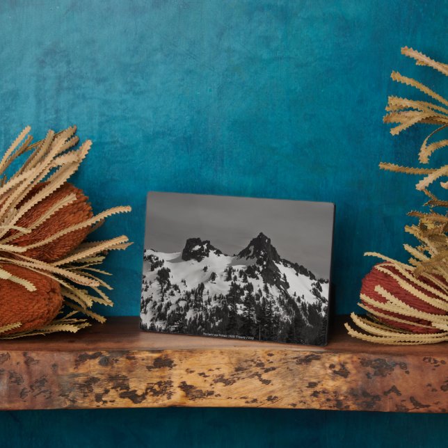 Das Schloss und der Pinnacle Fotoplatte (Seite)