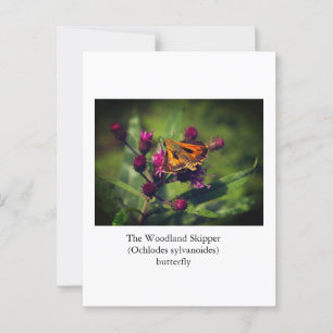 Das Schmetterling des Waldlands Skipper Postkarte