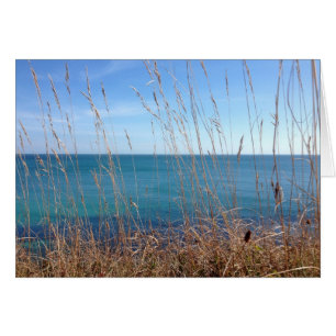Das schöne Gras und das Meer