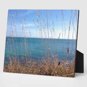 Das schöne Gras und das Meer Fotoplatte