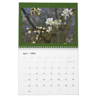 Das Schönheitssalander der Natur erfassen Kalender