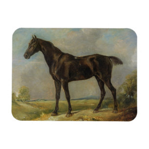 Das schwarze Reiten-Pferd Golding Polizisten, Magnet