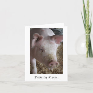 Das Schwein, das an Sie denkt, kardieren Karte