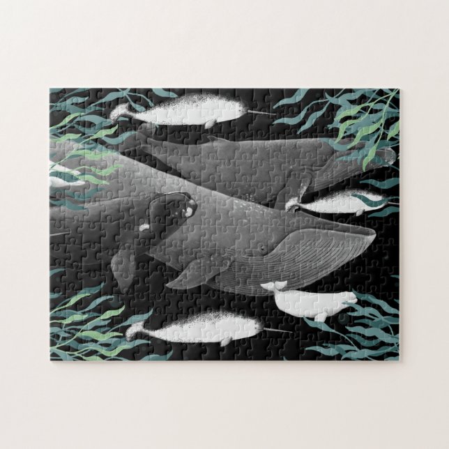 Das Schwimmen von Walen illustriert Kunstwale (Horizontal)