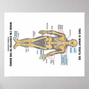 Das sehen Sie, wenn ich an Knochen entzogen werde Poster