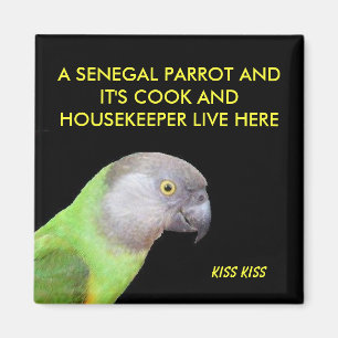 Das Senegal-Papageien-Haustier Magnet