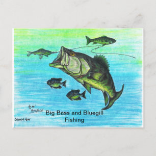 Das Set "Big Bass and Bluegill Fishing - US Post C Postkarte