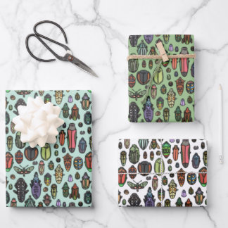 Das Set für das Käferwrapping von Papier mit einem