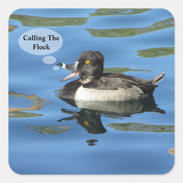 Das Siegel der "Flock Humore Duck Announcement" Quadratischer Aufkleber (Vorderseite)
