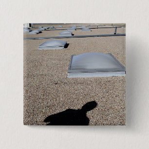 Das Solartagesbeleuchtungssystem Button