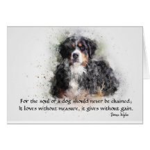 Das Soul eines Hundes - Berner Hund
