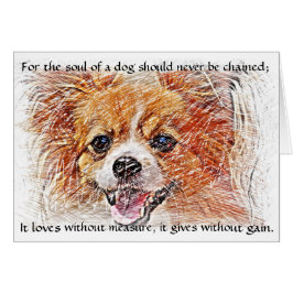 Das Soul eines Hundes - Chihuahua