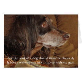 Das Soul eines Hundes - "Für Milly"