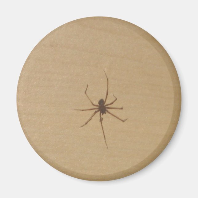 Das Spidermagnet Magnet (Vorne)