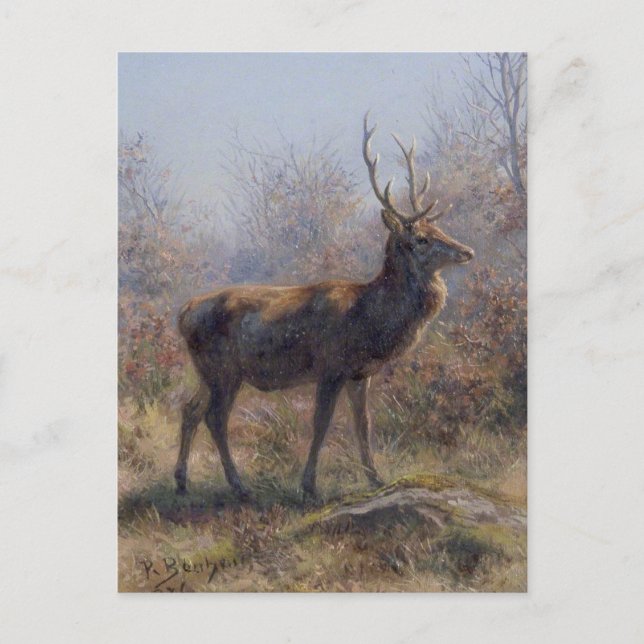 Das Stag von Rosa Bonheur Postkarte (Vorderseite)