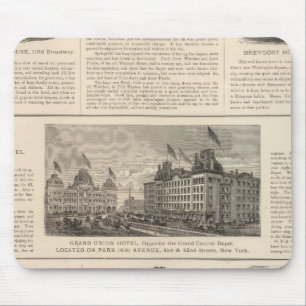 Das Sturtevant House, New York Mousepad