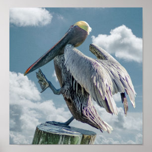Das tanzende Pelican Poster