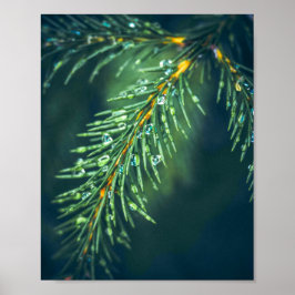 Das Tapestry der Natur: Die Schönheit der Blätter  Poster