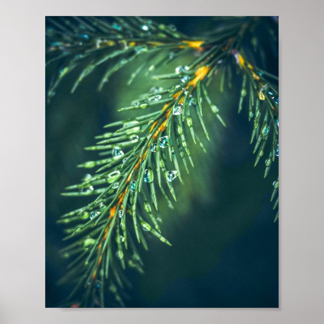Das Tapestry der Natur: Die Schönheit der Blätter  Poster (Vorne)