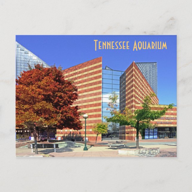 Das Tennessee Aquarium - Chattanooga, TN. Postkarte (Vorderseite)