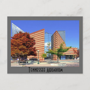 Das Tennessee Aquarium - Chattanooga, TN. Postkarte