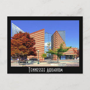 Das Tennessee Aquarium - Chattanooga, TN. Postkarte
