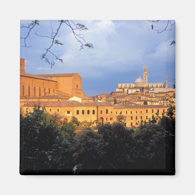 Das toskanische Dorf Sienna, Italien. Magnet (Vorne)