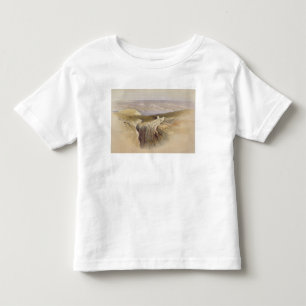 Das Tote Meer, das in Richtung Moabs, Volumen II Kleinkind T-shirt