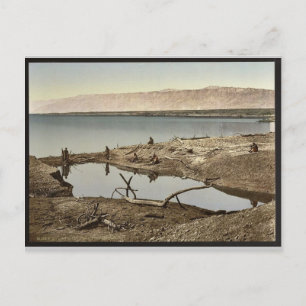 Das Tote Meer, II, Jericho, Heiliges Land (d.h. We Postkarte