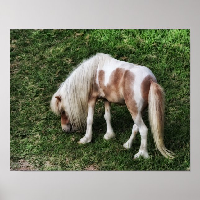 Das Träumen einer Hübschen Pony-Fotografie-Printwe Poster (Vorne)