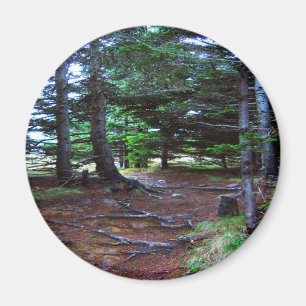 Das Treppenhaus-Magnet der Natur Magnet