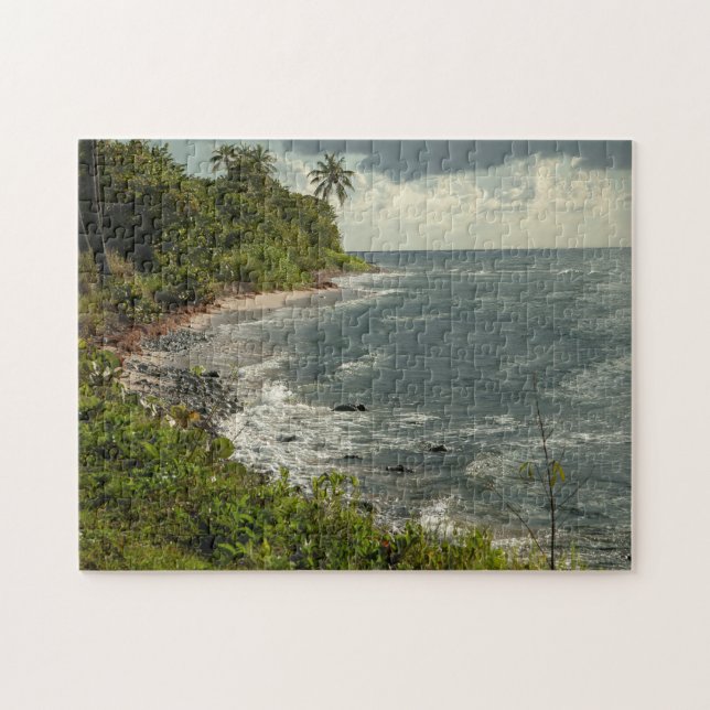 Das tropische Paradies der Natur am Sandstrand (Horizontal)