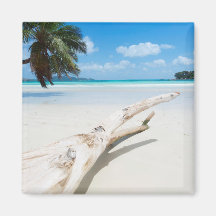 Das tropische Paradies der Seychellen