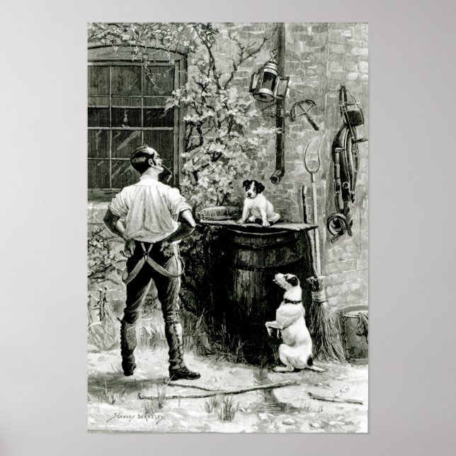 Das Überleben des Fittesten Poster (Vorne)