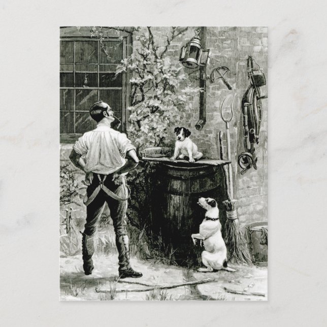 Das Überleben des Fittesten Postkarte (Vorderseite)