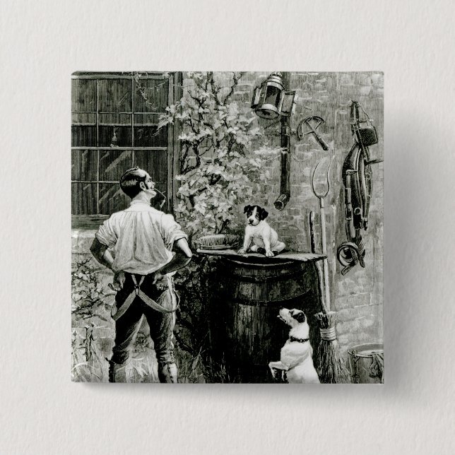 Das Überleben vom geeignetsten Button (Vorderseite)