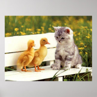 Das Ugly Duck Poster